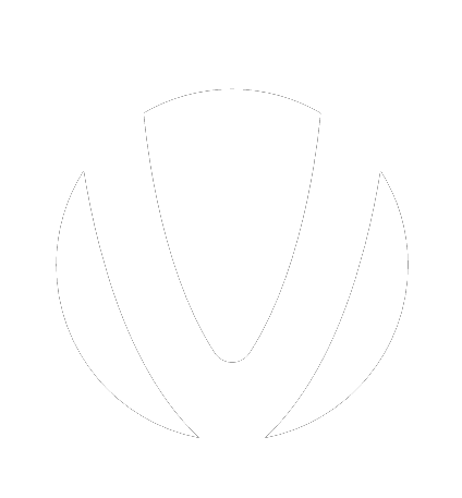 VOID logo